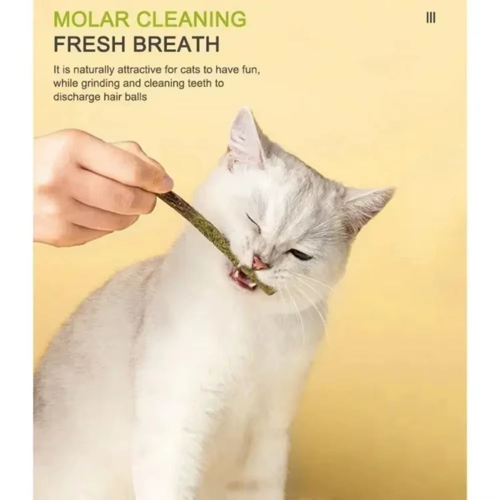 6Pcs Natural Matatabi Cat Stick Mint Caught Bite Excited Rods Silvervine for Cat Teeth Cleaning Treating Pet Supply Cat Toys